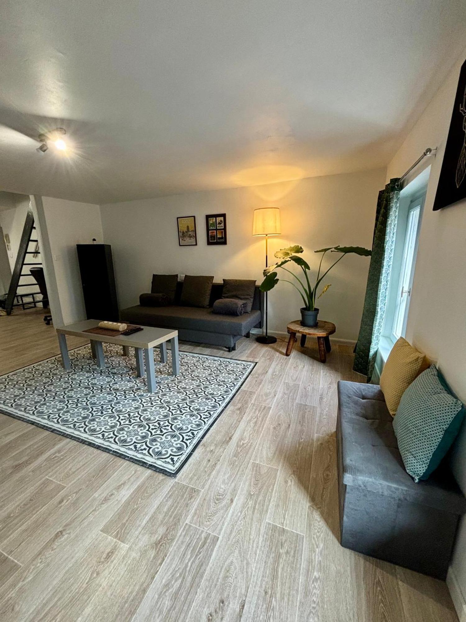 Appartement Hyper Centre โรเดซ ภายนอก รูปภาพ